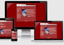 screen-firmen-webservice